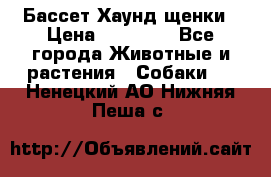 Бассет Хаунд щенки › Цена ­ 20 000 - Все города Животные и растения » Собаки   . Ненецкий АО,Нижняя Пеша с.